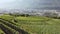 Terraced vineyards Switzerland