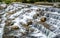 Terraced waterfall close-up view in Potatso national park Yunnan China