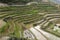 The terraces is filled with water, has attracted many people to leisure tourism