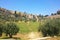 Terraces Of The Kidron Valley And The The Wall Of The Old City In Jerusalem, Israel