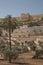 Terraces of the Kidron Valley and the the wall of the Old City in Jerusalem in Israel