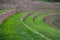 Terraces at Moray, Sacred Valley, Peru