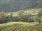 terraces in spring in south china