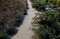 terraces with stairs in a sloping park. stone retaining walls