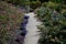 terraces with stairs in a sloping park. stone retaining walls