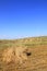 terraces and wind turbines