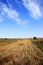 Terraces and wind turbines