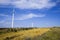 Terraces and wind turbines