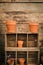 Terracota flower pots on old wooden shelves.