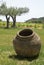 Terracotta amphora in field