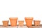 Terracotta or clay gardening pots