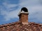 Terracotta clay roof tiles and brick chimney