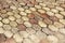 Terracotta paving tile, small depth of field