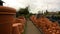 Terracotta plant pots at a nursery.