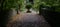 Terracotta planter full of ferns with stone walls beside path with copyspace