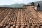 Terracotta tiled rooftops in the village of Ghivizzano