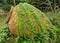 Terracotta water urn in overgrown deserted garden