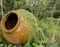 Terracotta water urn in overgrown deserted garden