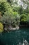 Terrapin Pond in National Garden of Athens, Greece