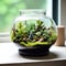 Terrarium jar with little forest and a self ecosystem , Small decoration plants in a glass bowl, Terrarium , terrarium plants