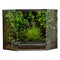 Terrarium with lush vegetation, isolated terrarium. Interior decoration