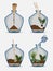 Terrarium Nature green plant in glass garden, plant on decoration natural botany vector cartoon illustration isolated on