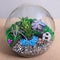 Terrarium, sand, rock, decor house, succulent, cactus