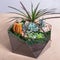Terrarium, sand, rock, decor house, succulent, cactus