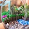 Terrarium, sand, rock, succulent, cactus