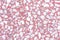 Terrazzo texture with  big white and gray marble in seamless patterns abstract on floor pink or light red background