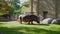 A terrestrial animal, the hippopotamus, is grazing on grass in a zoo enclosure