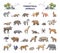 Terrestrial animals group as living species on land outline collection set