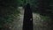 A terrible black figure without a face in a mystical forest. The horror of forest paths.