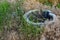 A terrible old well with unknown contents. A rotten structure of gray cement concrete, like a sewer. Round shape for descending