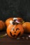 Terrible sweets for Halloween in decorative pumpkin on a dark ba
