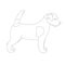 Terrier Jack Russell puppy,vector illustration, lining draw