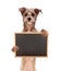 Terrier Mix Dog Holding Blank Chalkboard