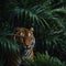 A terrifying tiger hidden among the dark green large palm leaves.