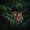 A terrifying tiger hidden among the dark green large palm leaves.