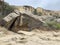 The territory of the Gobustan state historical and art reserve in autumn in cloudy weather, Azerbaijan