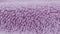 Terry lilac colored cloth towel texture as a background