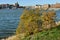 Tervasaari island on background of Pohjoisranta embankment. Helsinki, Finland