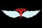 Tesla logo with wings over black background