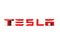 Tesla Motors American Automobile and Energy Company Logo Close up