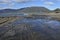 Tessellated Pavement in Tasman Peninsula Tasmania Australia