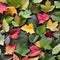 A tessellation of leaves in various sizes and colors, falling in different directions4, Generative AI