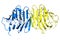 Testosterone-binding globulin protein