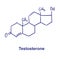 Testosterone chemical structure. Vector illustration Hand drawn.