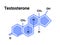 Testosterone hormone formula icon. Testosterone molecule structure male hormone formula