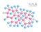 Testosterone structure / anatomy